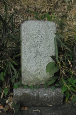 DSC_6585.jpg