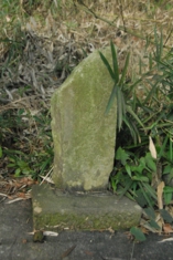 DSC_6584.jpg