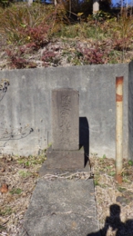 RIMG0381.jpg