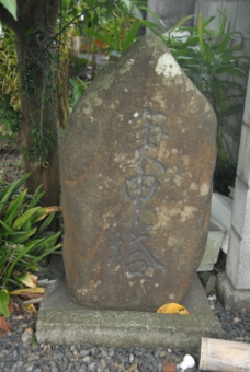 DSC_6536.jpg