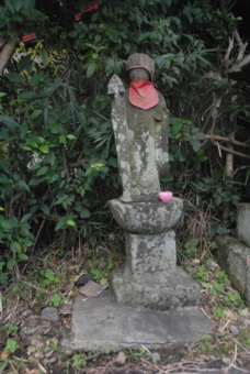 DSC_6548.jpg
