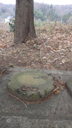 RIMG0482.jpg