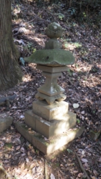 RIMG0353.jpg