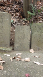 RIMG0429.jpg
