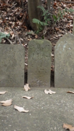 RIMG0428.jpg