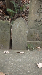 RIMG0427.jpg