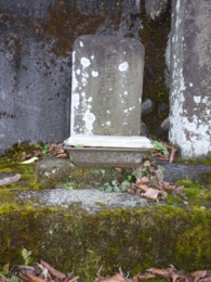 RIMG0528.jpg