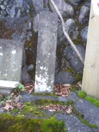 RIMG0527.jpg