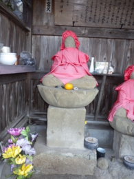 RIMG0532.jpg