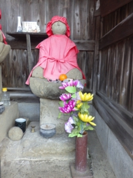 RIMG0531.jpg