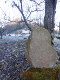RIMG0546.jpg