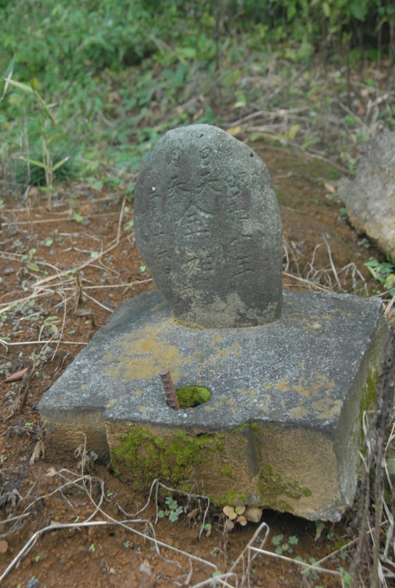 DSC_6568.jpg