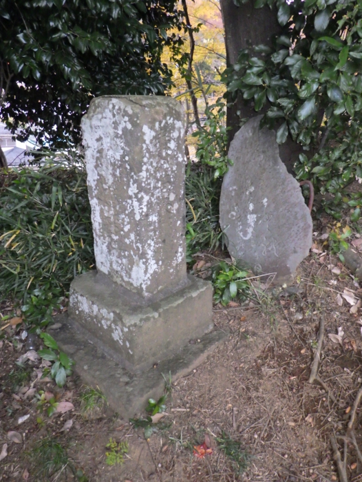 RIMG0181-1.jpg