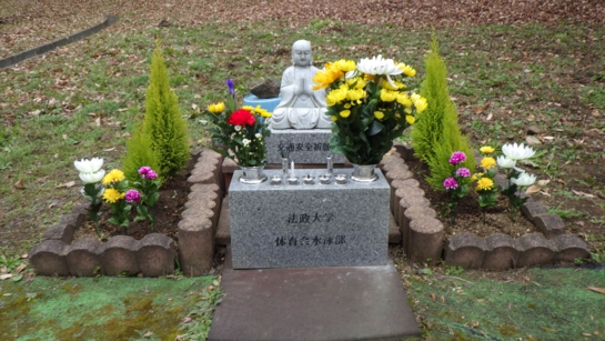 RIMG0434.JPG