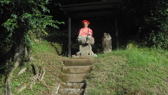 DSC_6616.jpg