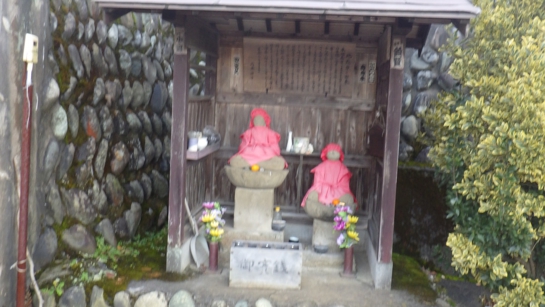 RIMG0535.jpg