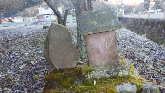 RIMG0544.JPG
