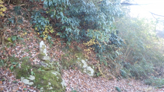 RIMG0519.JPG