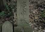 DSC_6614.jpg