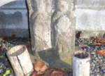 RIMG0136.jpg