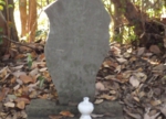 RIMG0148-1.jpg