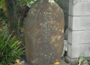 DSC_6534.jpg