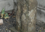DSC_6535.jpg