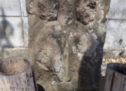RIMG1043.JPG