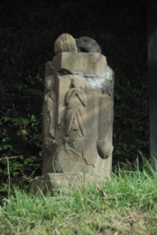 DSC_6618.jpg
