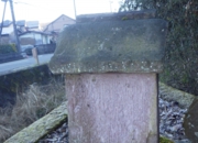 RIMG0550.jpg