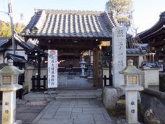 RIMG0256.JPG