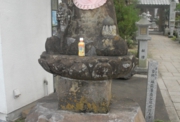 DSC_6556.jpg