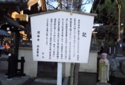 RIMG0254.JPG