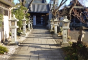 RIMG0271.JPG