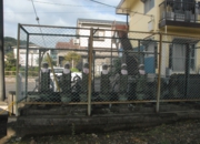 DSC_6591.JPG