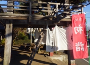 RIMG0725.jpg