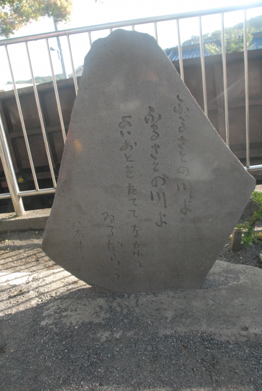 DSC_6662.jpg